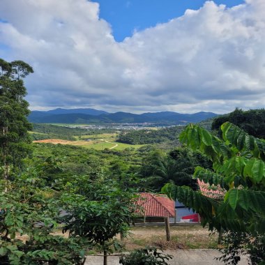 Sítio / Chácara 3 quartos para Venda no bairro Toca em Camboriú